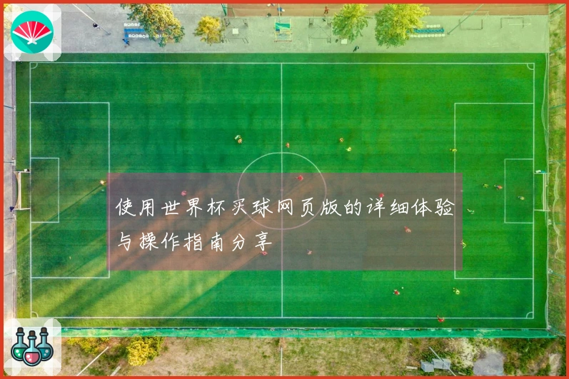 使用世界杯买球网页版的详细体验与操作指南分享