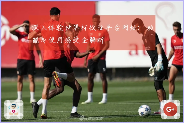 深入体验世界杯投注平台网址：功能与使用感受全解析