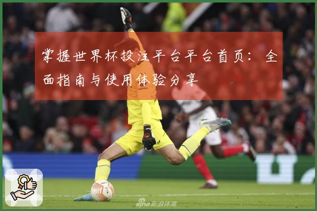 掌握世界杯投注平台平台首页：全面指南与使用体验分享