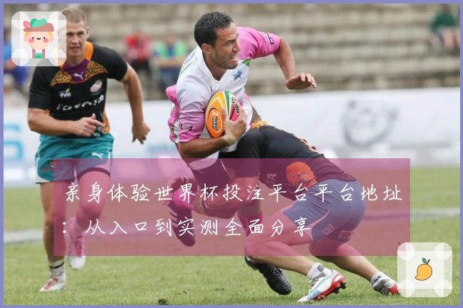 亲身体验世界杯投注平台平台地址：从入口到实测全面分享