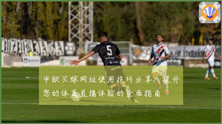中欧买球网址使用技巧分享:提升您的体育直播体验的全面指南