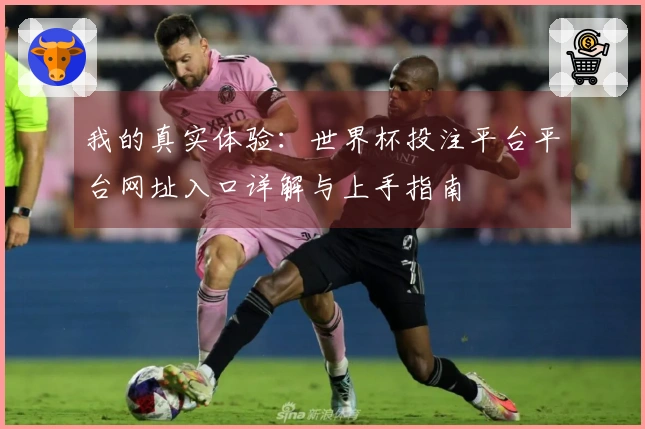 我的真实体验：世界杯投注平台平台网址入口详解与上手指南