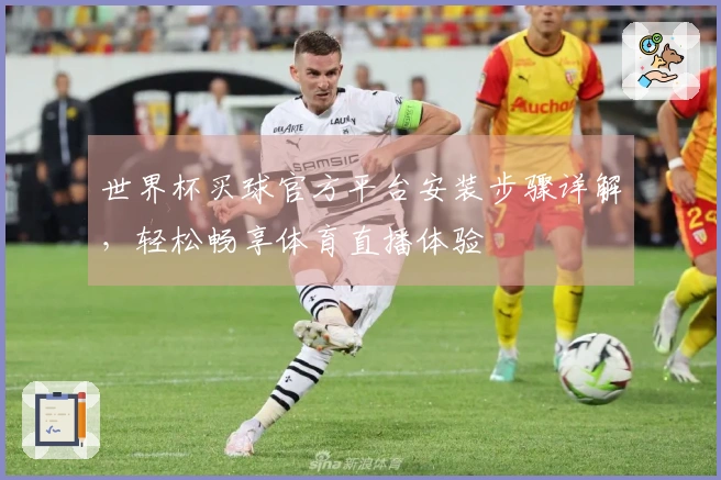 世界杯买球官方平台安装步骤详解,轻松畅享体育直播体验
