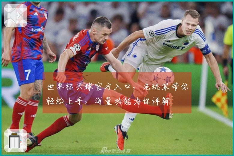 世界杯买球官方入口，老玩家带你轻松上手，海量功能为你详解