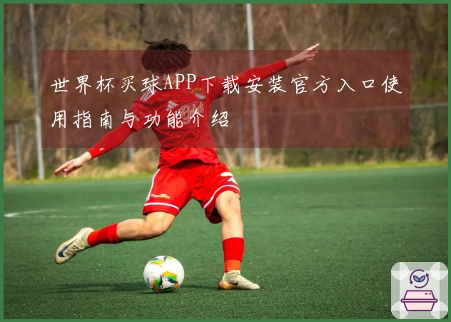 世界杯买球APP下载安装官方入口使用指南与功能介绍
