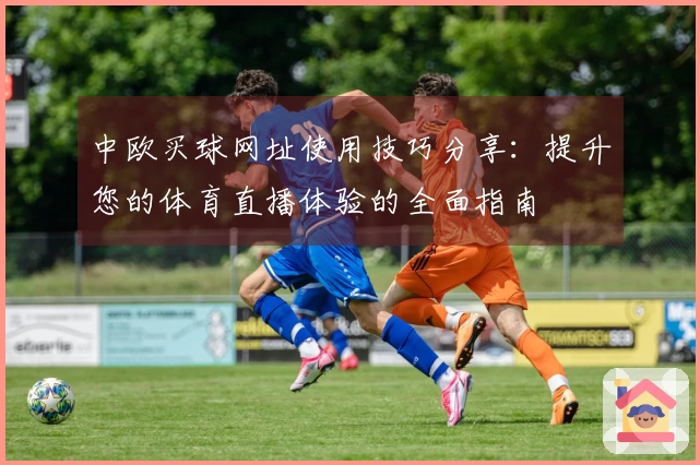 中欧买球网址使用技巧分享：提升您的体育直播体验的全面指南