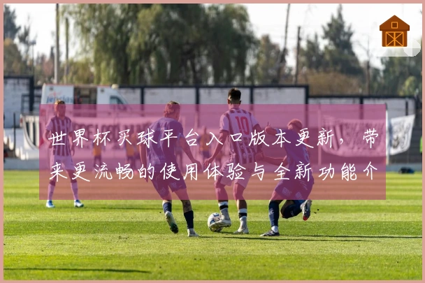 世界杯买球平台入口版本更新，带来更流畅的使用体验与全新功能介绍