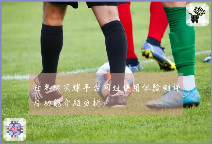 世界杯买球平台网址使用体验测评与功能介绍分析