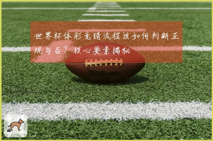 世界杯体彩竞猜流程该如何判断正规与否?核心要素揭秘