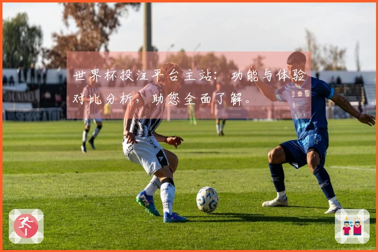 世界杯投注平台主站：功能与体验对比分析，助您全面了解。