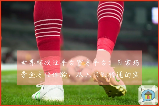 世界杯投注平台官方平台：日常场景全方位体验，从入门到精通的实用指南