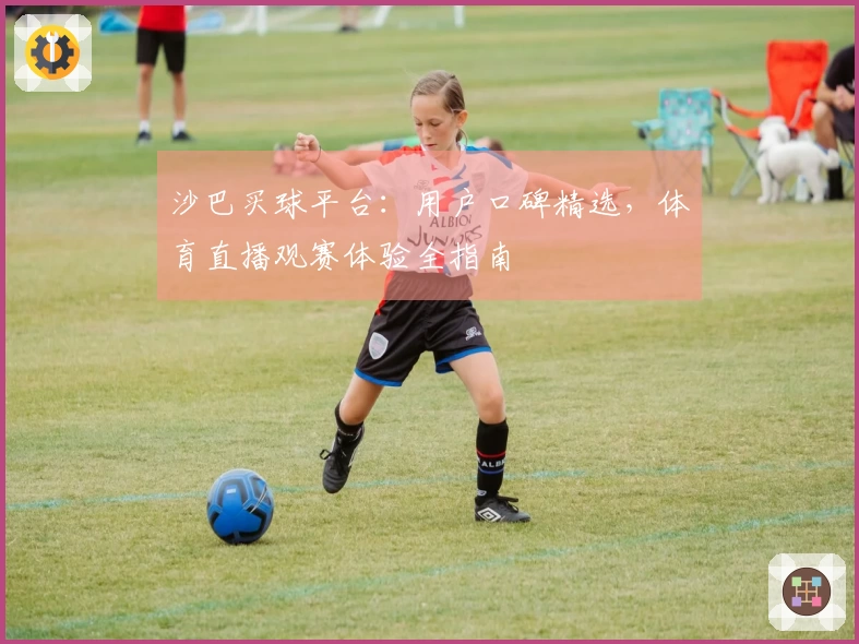 沙巴买球平台：用户口碑精选，体育直播观赛体验全指南